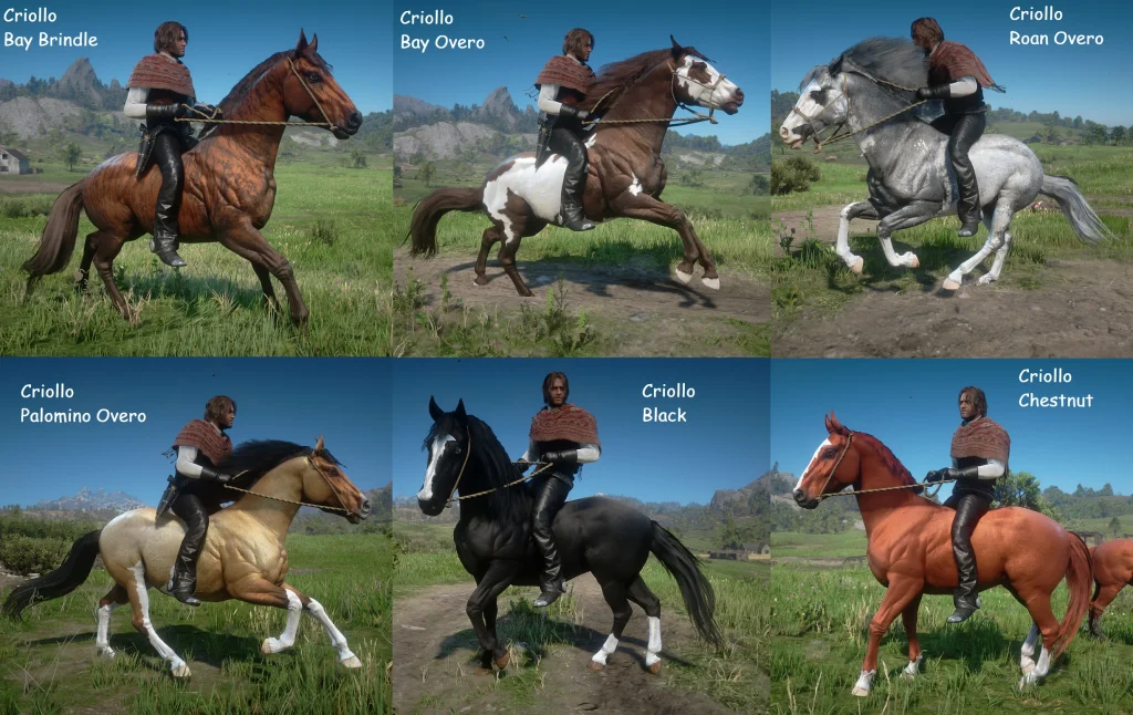 1227-1643379665-1108153679