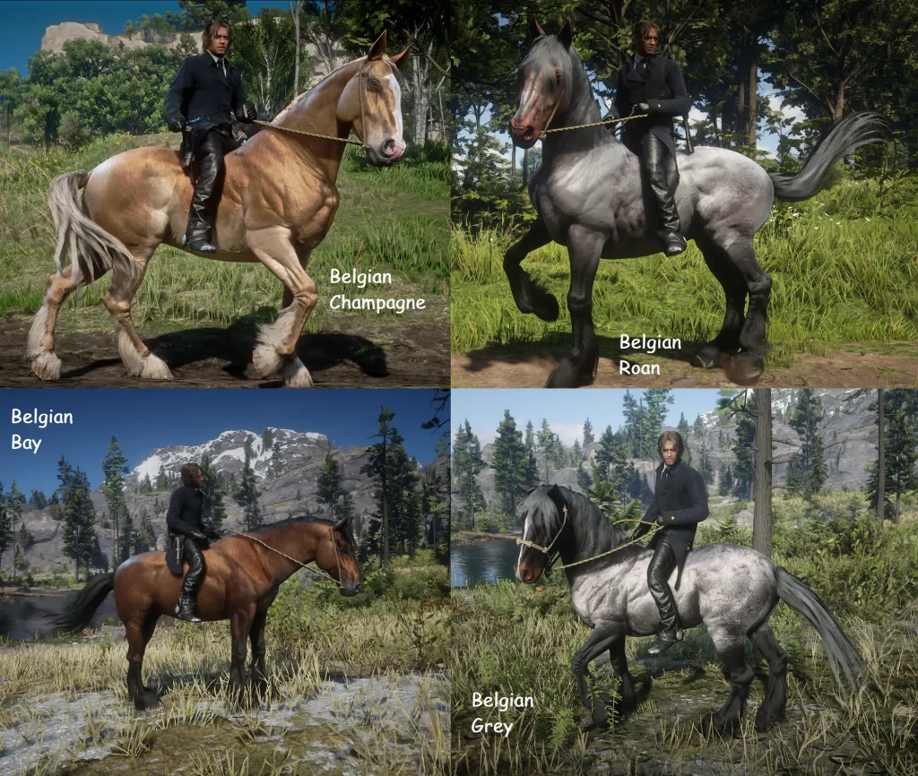 1227-1644060991-1564427303