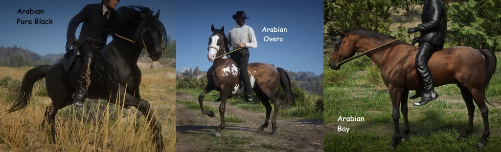 1227-1652076132-1316126001