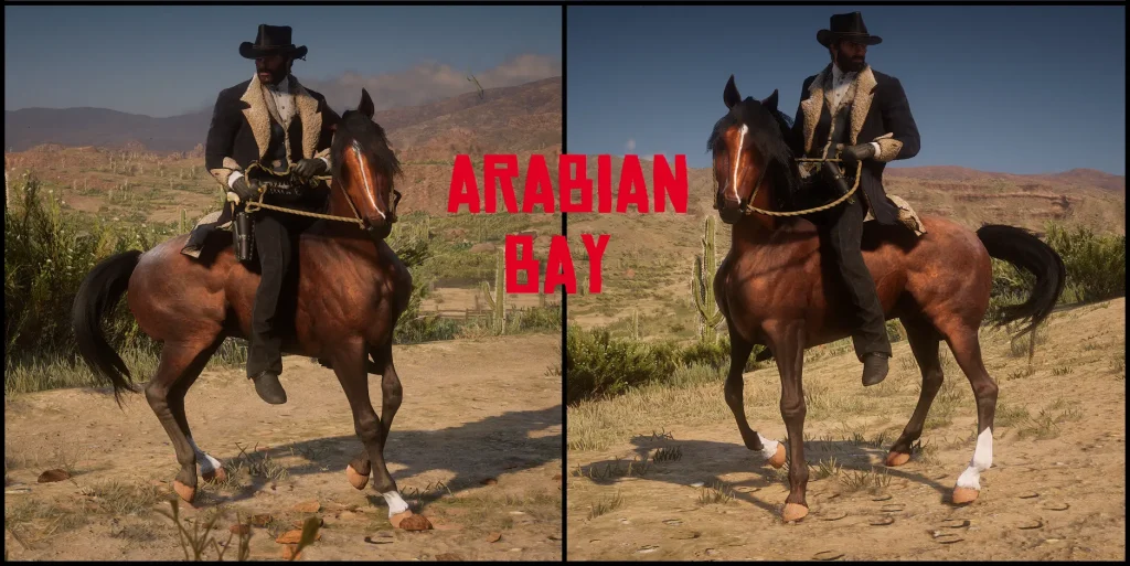 1227-1652601573-1870135502