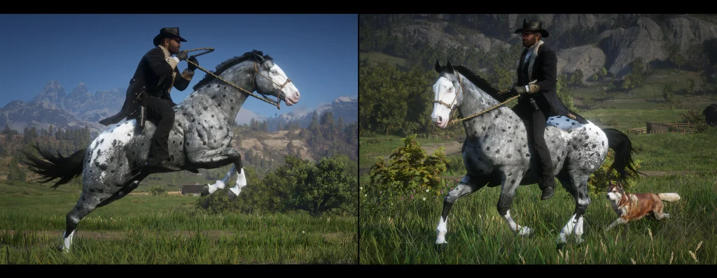 1227-1653011625-1377553564