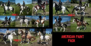 新马衣（New Horse Coats）