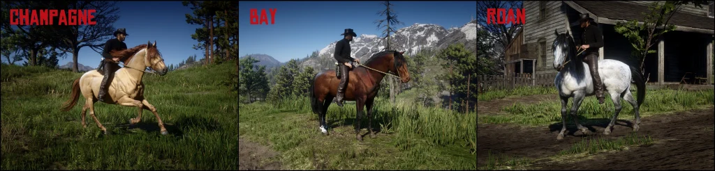 1227-1662539735-460021705