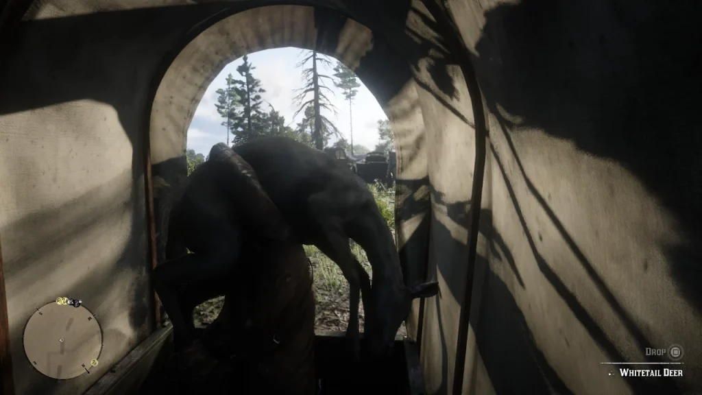 133-1576080872-1701164270