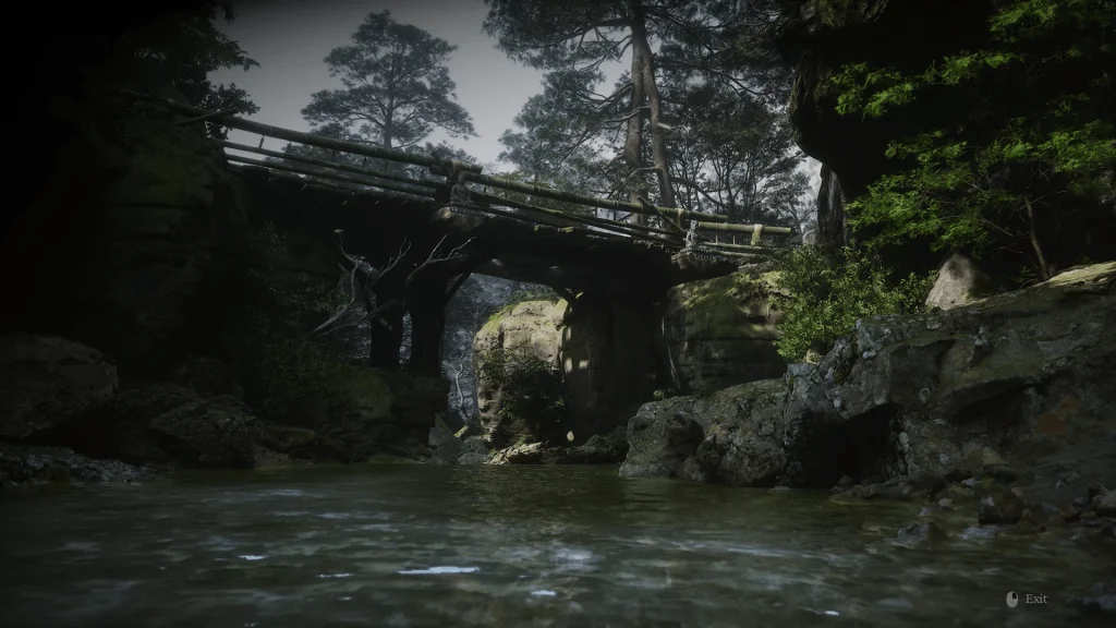 1-1723814719-729892446