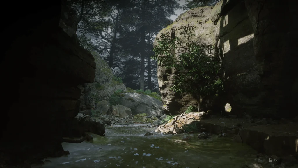 1-1723814726-533432245