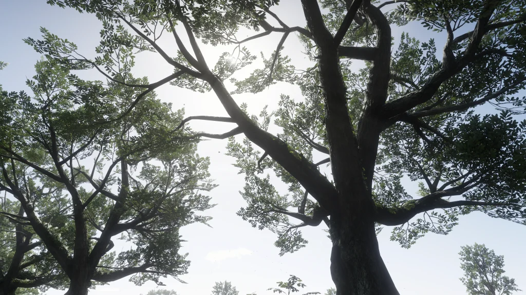 1549-1686418371-1001280937