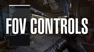 视野控制（包括瞄准镜模式和热键切换）（FOV Controls (Includes ADS and Hotkey Toggle)）