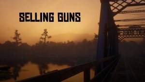 卖枪（Selling Guns）